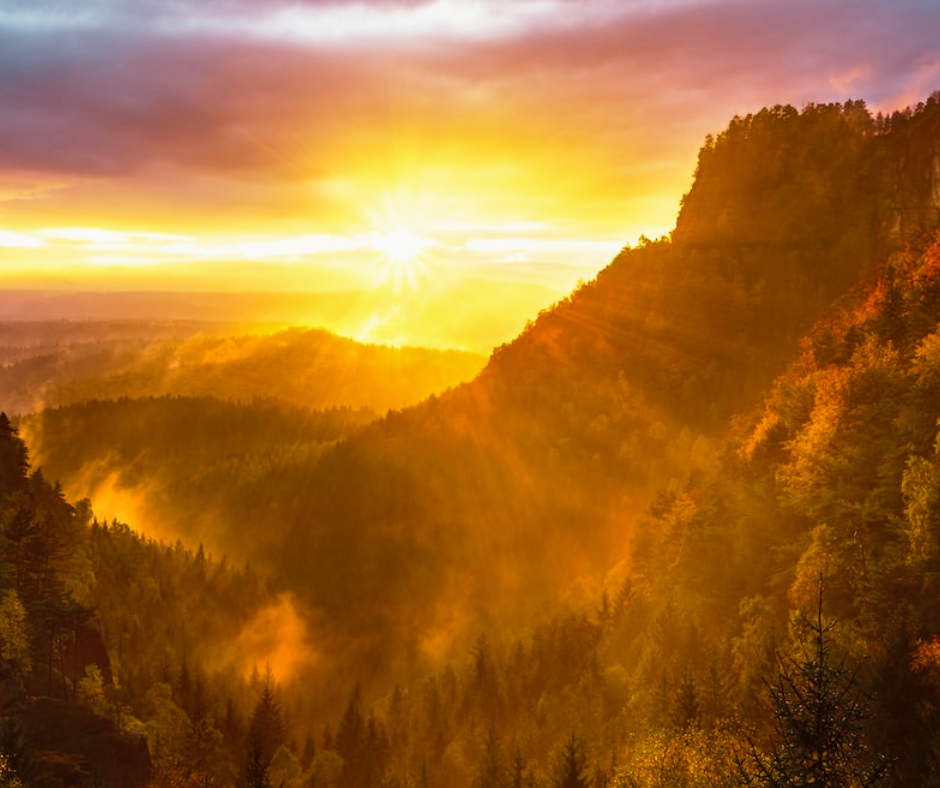 Inspiration.